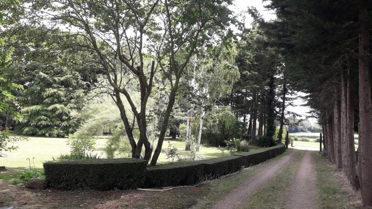 Les Terrasses Bed and Breakfast Degré Εξωτερικό φωτογραφία