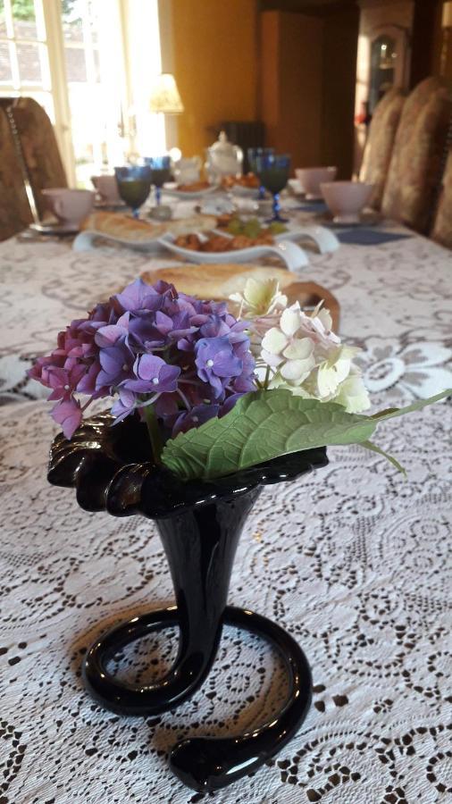 Les Terrasses Bed and Breakfast Degré Εξωτερικό φωτογραφία